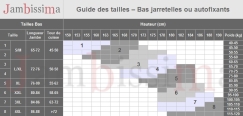 St001 - Bas Classique pour Porte Jarretelles 17 den - Passion